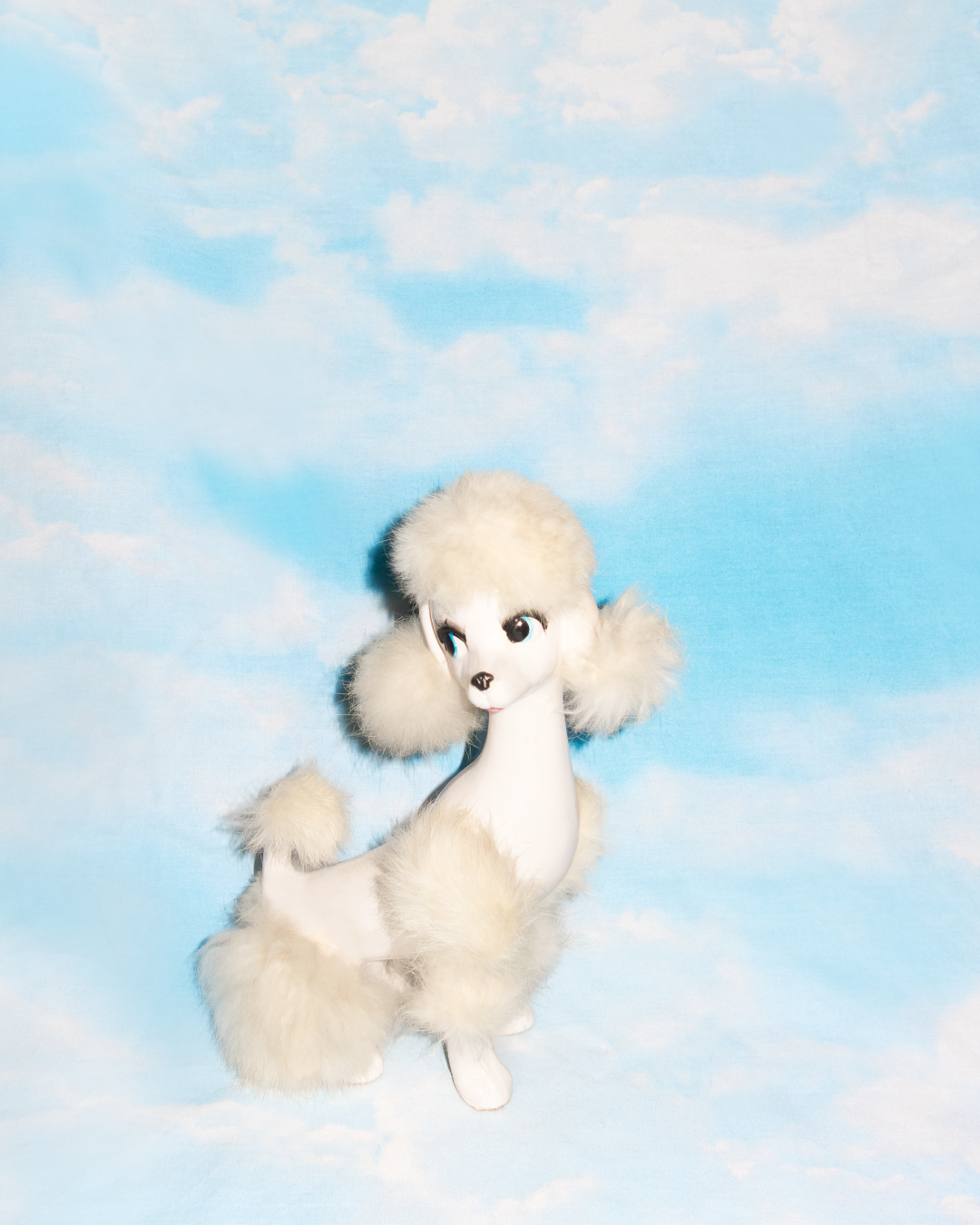 Poodle Print